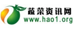 蔬菜資訊網(wǎng)